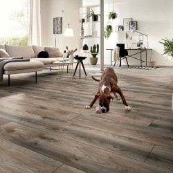 Ламинат Кронотекс / Kronotex Mammut Plus D4792 Дуб серый Макро