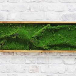 Панно из мха AF мох степной 20х60