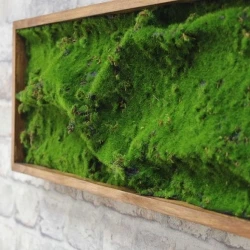 Панно из мха AF мох степной 20х60