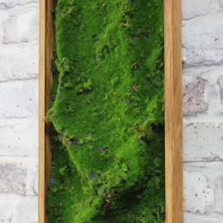 Панно из мха AF мох степной 20х60