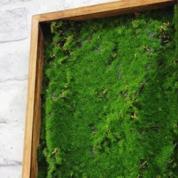 Панно из мха AF мох степной 20х60
