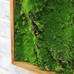 Панно из мха AF мох степной 20х60