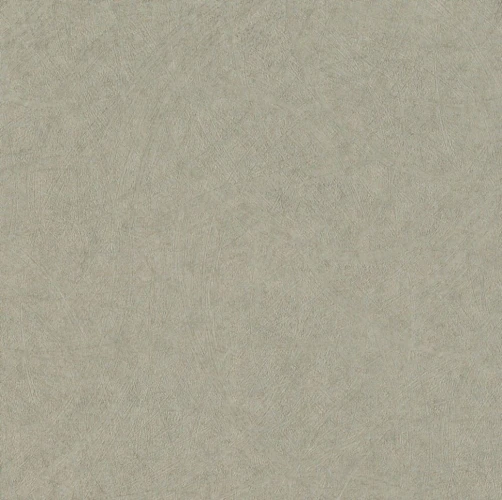 Обои Rasch Factory Style 947410 на Otdelka1.ru