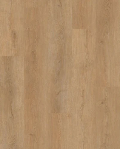 SPC ламинат Evofloor Home Дуб Медовый на Otdelka1.ru