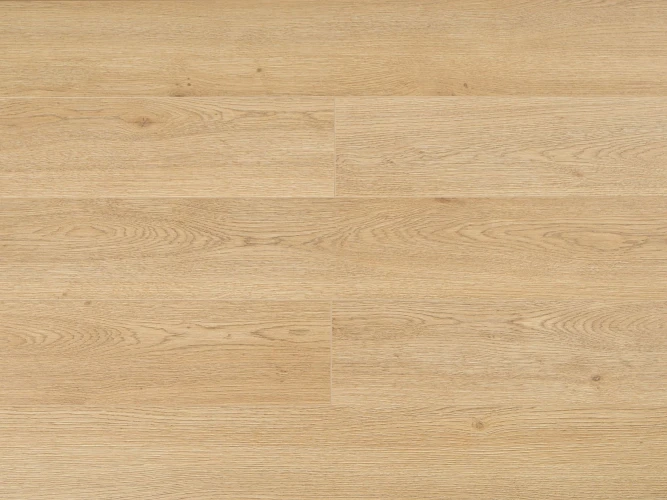 Ламинат Sunfloor 8/33 SF256 Дуб Эритрея на Otdelka1.ru