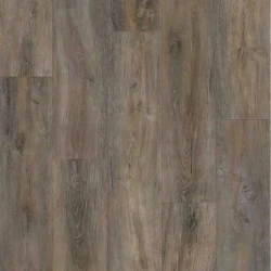 SPC ламинат Evofloor Home Дуб Пепельный