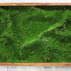 Панно из мха AF мох степной А2