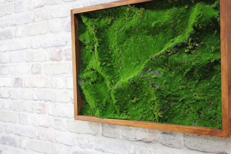 Панно из мха AF мох степной А2 на otdelka1.ru