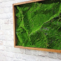 Панно из мха AF мох степной А2