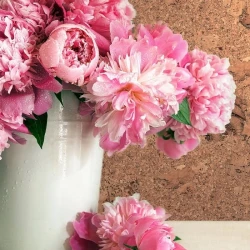 Настенная пробка Коркстайл / Corkstyle Wall design Vico nat