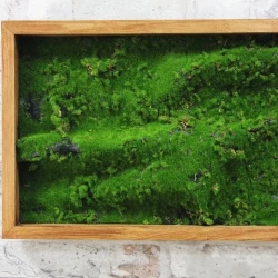Панно из мха AF мох степной А3