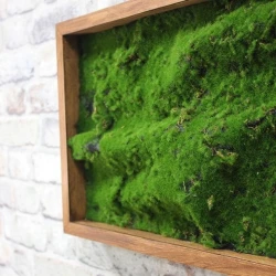 Панно из мха AF мох степной А3