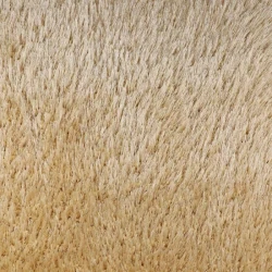 Ковролин Oz Caplan Defier 01800A Cream