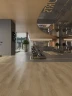 Виниловая плитка Alpine floor Easy line ECO 3-42 Дуб Фридрих на Otdelka1.ru