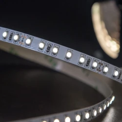 LED Лента дневной белый 5м