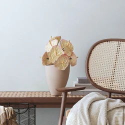 Обои A.S. Creation Mia&Paul 38903-3