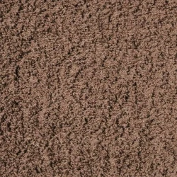 Ковролин Oz Caplan Gold Shaggy 01800A Brown