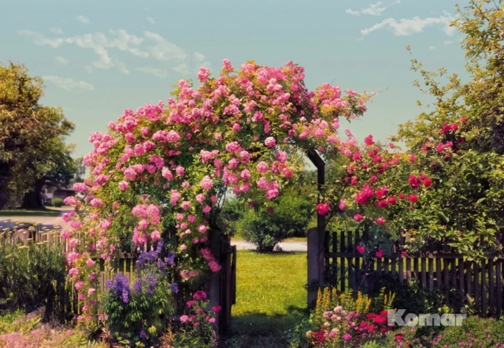 8-936 Фотообои KOMAR "Розовый сад" 368х254 см бумажные на otdelka1.ru