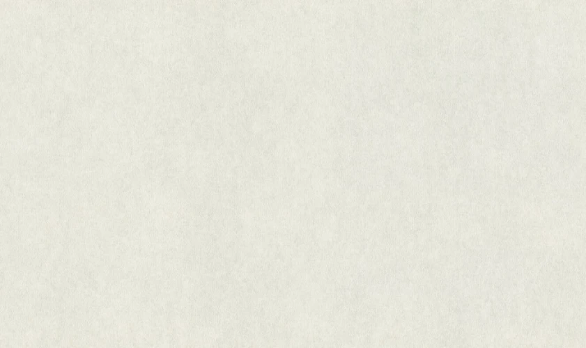 Обои Rasch Raymond (GUS) 957303 на otdelka1.ru