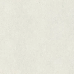 Обои Rasch Raymond (GUS) 957303