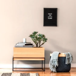 Обои A.S. Creation Mia&Paul 38904-3