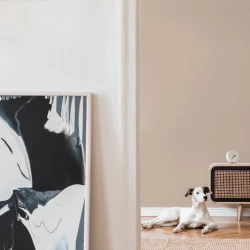 Обои A.S. Creation Mia&Paul 39097-1