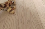 Ламинат Floor Fort 19031-5 Дуб Брендон на Otdelka1.ru