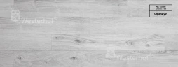 Ламинат Вестерхоф / Westerhof Cosmo CO367 Орфеус на Otdelka1.ru