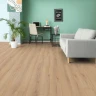 Ламинат Kronotex Robusto D80592 Дуб Норфолк на Otdelka1.ru