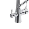 Смеситель Royce Ирис RCM-120901CR для кухни, с каналом для питьевой воды, хром на Otdelka1.ru
