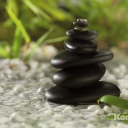 1-612 Фотообои KOMAR "Феншуй" 184смх1,27м бумажные