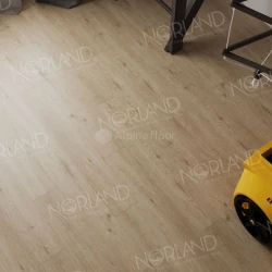 Кварцвиниловая плитка Norland Sigrid LVT 1003-1 Abbi