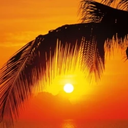 2-1255 Фотообои KOMAR "Пальмы, Пляж, Восход" 92х220 см бумажные