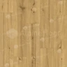 SPC ламинат Alpine Floor Pro Nature 62541 Soacha на Otdelka1.ru