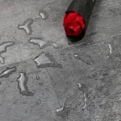 Виниловый Ламинат SPC Betta Monte M909 Атлас