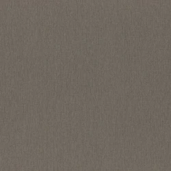 Обои Rasch Ascona db 979305