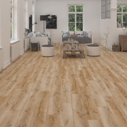 Ламинат Kronostar Фанат / Fanat D4968 Дуб Норрис