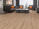 Ламинат Camsan Platinum 2101 Дуб Барокко на Otdelka1.ru