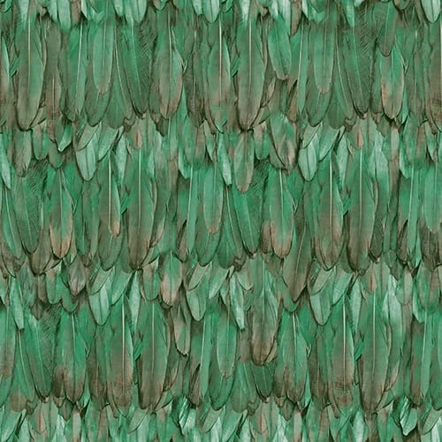 Обои 9913-4 Adawall Tropicano на Otdelka1.ru