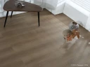 Ламинат Lamiwood Select 818 Дуб Темный на Otdelka1.ru