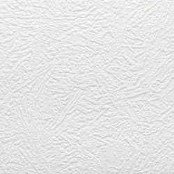 Обои под покраску A.S. Creation Antivandal 5750-12