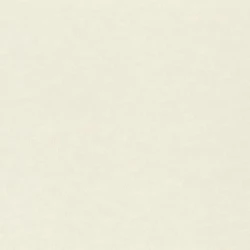 Обои Rasch 964806 Filigrano