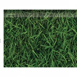 Плинтус Corkstyle Green