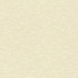 Обои Rasch 964813 Filigrano