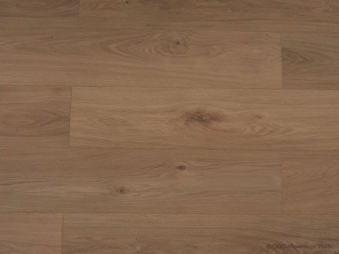 Ламинат Lamiwood Select 817 Дуб Медовый на Otdelka1.ru