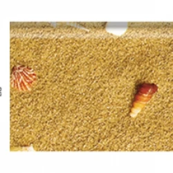 Плинтус Corkstyle Sandatrand