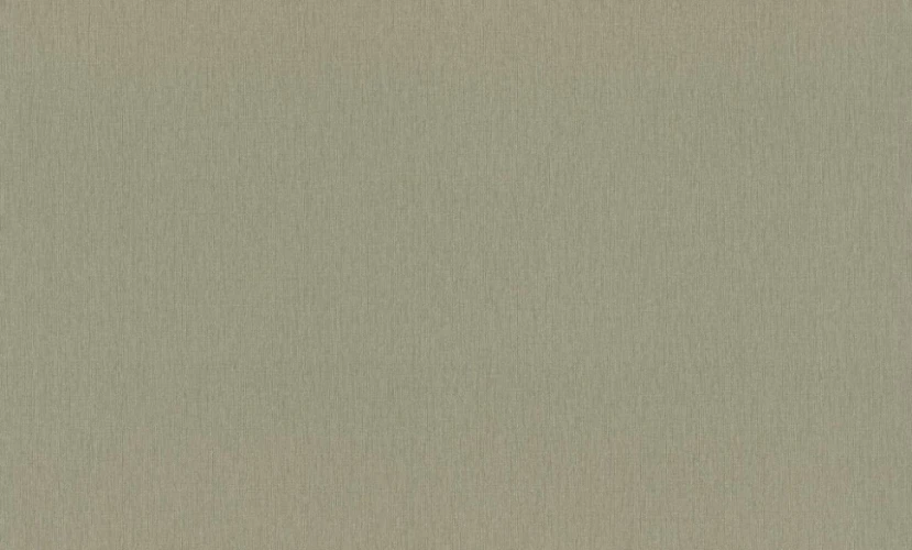 Обои Rasch Ascona db 979398 на otdelka1.ru