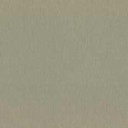 Обои Rasch Ascona db 979398