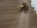 Ламинат Lamiwood Select 815 Дуб Карамельный на Otdelka1.ru